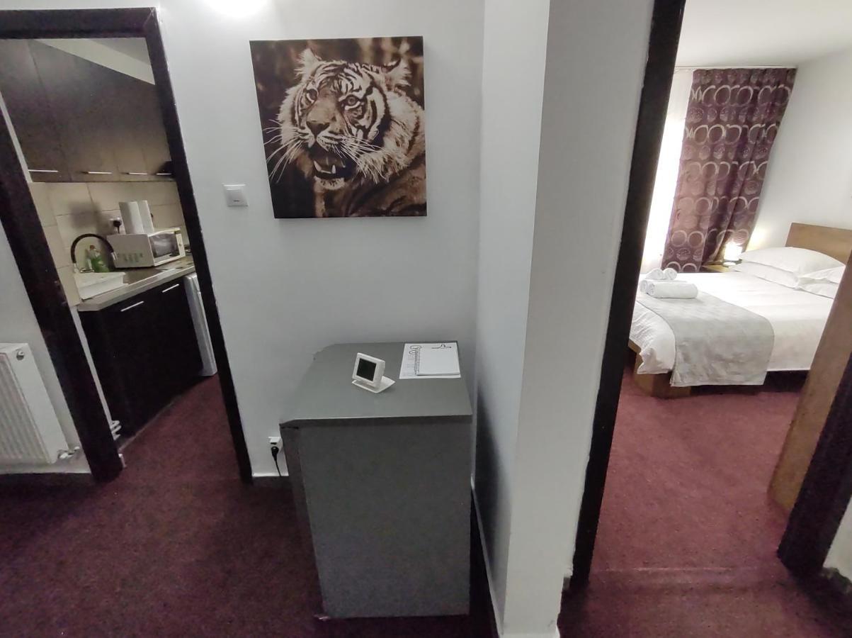 Creative Apartment Baia Mare Buitenkant foto