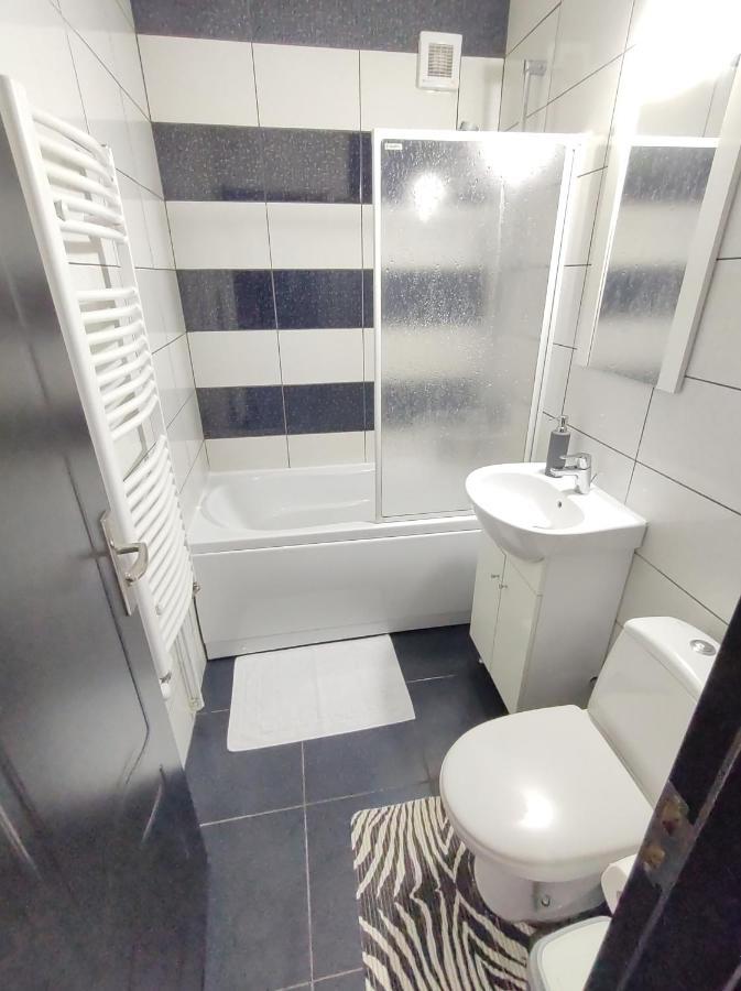 Creative Apartment Baia Mare Buitenkant foto