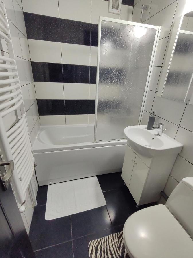 Creative Apartment Baia Mare Buitenkant foto