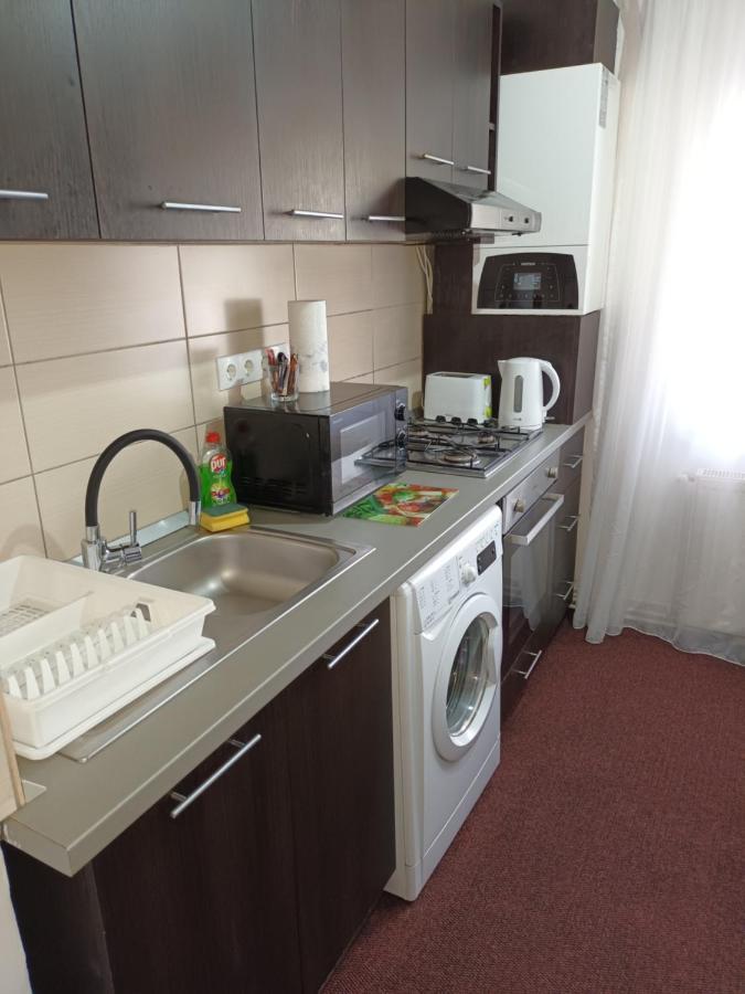 Creative Apartment Baia Mare Buitenkant foto