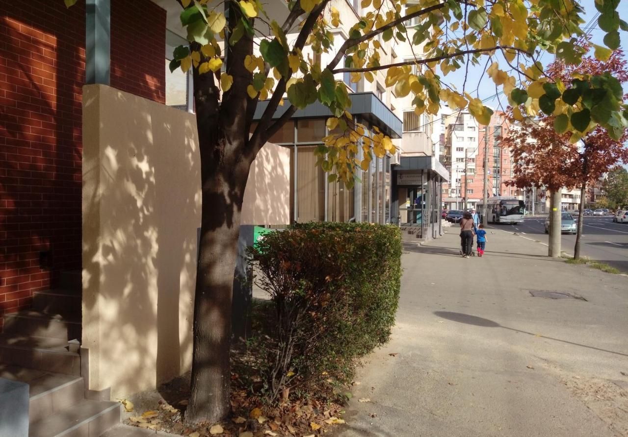Creative Apartment Baia Mare Buitenkant foto